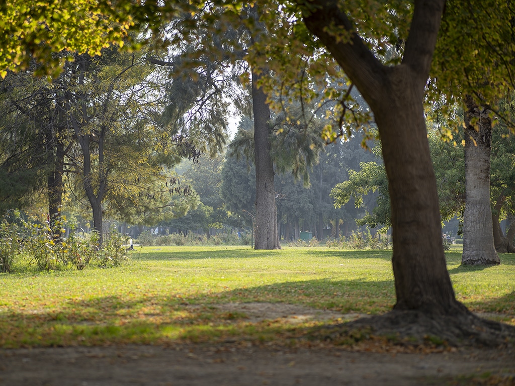 İzmir'de gezilecek yerler listesi Kültür Park